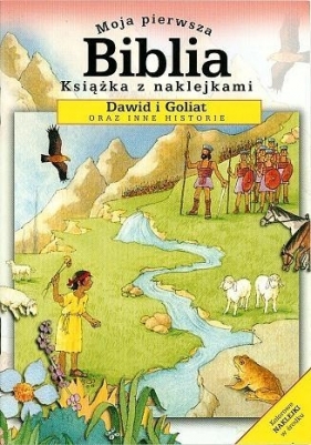 Moja pierwsza Biblia mini Dawid i Goliat WDS - Sally Ann Wright, Moira Maclean