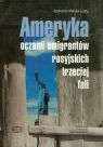 Ameryka