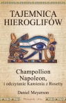 Tajemnica hieroglifów Champollion, Napoleon i odczytanie Kamienia z Meyerson Daniel