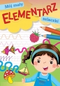 Mój mały elementarz. Szlaczki - Zofia Zabrzeska
