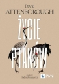 Życie ptaków - David Attenborough