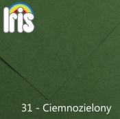 Karton kolorowy Canson (200040174) - Polska Fila