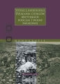 Działania czołgów brytyjskich podczas I wojny światowej - Witold J. Ławrynowicz