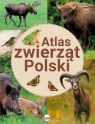 Atlas zwierząt Polski Krzysztof Ulanowski