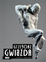  Gwiazda Rzeźba