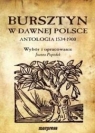 Bursztyn w dawnej Polsce. Antologia 1534-1900 praca zbiorowa