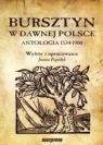 Bursztyn w dawnej Polsce. Antologia 1534-1900 Opracowanie zbiorowe