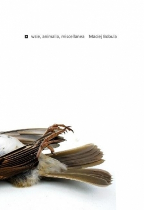 Wsie, animalia, miscellanea - Maciej Bobula