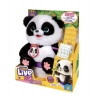 <img src='https://webimage.pl/pics/708/1/d5902251501044.jpg' width='400' height='403'> Little Live Pets. Panda