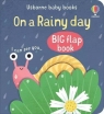 On a Rainy Day Mary Cartwright