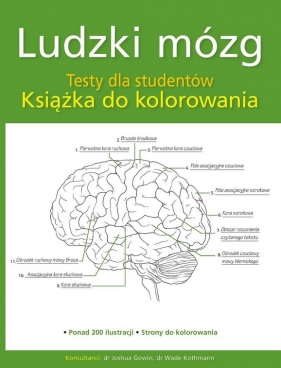 Ludzki mózg. Testy dla studentów. Książka do kolorowania - Opracowanie zbiorowe