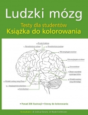 Ludzki mózg. Testy dla studentów. Książka do kolorowania - Opracowanie zbiorowe