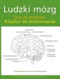 Ludzki mózg. Testy dla studentów. Książka do kolorowania - Opracowanie zbiorowe