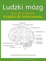  Ludzki mózg. Testy dla studentów. Książka do kolorowania