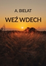 Weź wdech Anna Bielat