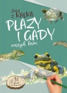 Płazy i gady naszych lasówzeszyt z kalką Katarzyna Kopiec-Sekieta