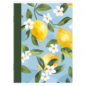 Zeszyt Top 2000 Basic A5/32k linia z marginesem, 1 szt