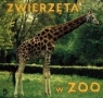 Zwierzęta w zoo Andrzej Kramarz