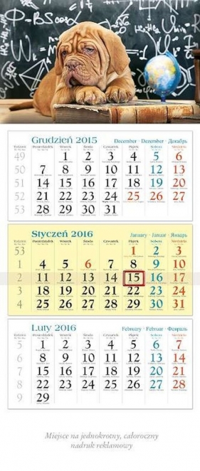 Kalendarz 2016 KT 20 Pies trójdzielny - <br />