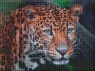 Diamentowa mozaika - Dziki wygląd 30x40cm