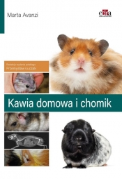 Kawia domowa i chomik - M. Avanzi