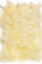 Piórka 5-12 cm, 10 g ecru (CEPI-016)