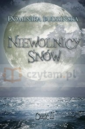 NIEWOLNICY SNÓW. CZĘŚĆ II - Dominika Budzińska