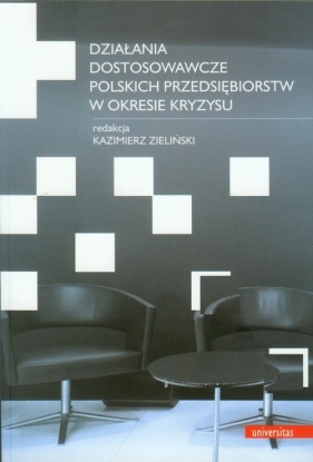 Działania dostosowawcze polskich przedsiębiorstw w okresie kryzysu - praca zbiorowa<br />