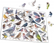Garden Birds - Ptaki Ogrodowe, Polne