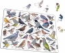 Garden Birds - Ptaki Ogrodowe, Polne