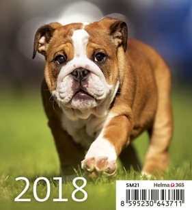 Kalendarz 2018 Biurkowy Mini Pieski