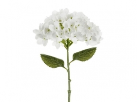 Hortensja biała 35cm