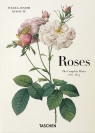 Redoute. Roses wer. angielska Redoute Pierre-Joseph