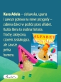 Alfabet kury Adeli - Joanna Krzyżanek