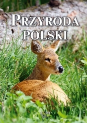 Mini album - Przyroda Polska (Uszkodzona okładka) - Joanna Włodarczyk