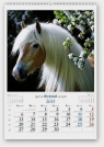 Kalendarz 2015 Konie w obiektywie