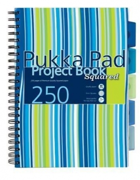 Project Book Stripe A4/125K kratka (3szt) PUKKA