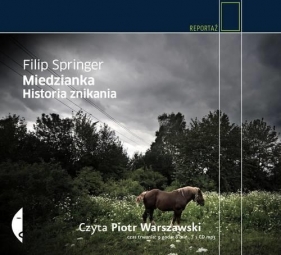 Miedzianka Historia znikania (audiobook) - Filip Springer