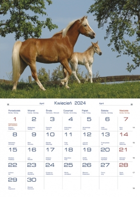 Kalendarz domowy 2024, miesięczny - Konie (TW-10-6)