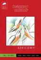 Blok szkicowy Młody Artysta A4/50