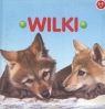 Wilki  Grooms Molly, Guarnotta Lucia