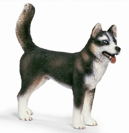 SCHLEICH PIES HUSKY