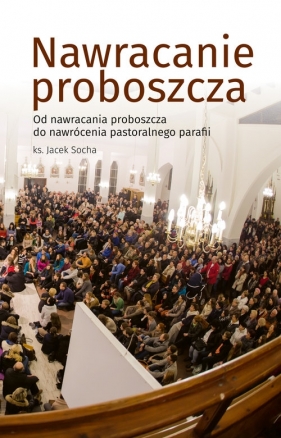 Nawracanie proboszcza - Socha Jacek