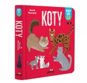 Koty. POP-UP 10 - David Hawcock