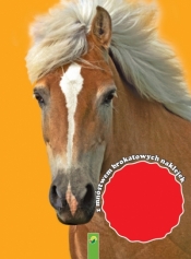 Malowanka. Stadnina kucyków - Opracowanie zbiorowe