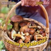 Kalendarz 2023 albumowy Por. Grzybiarza KAD6