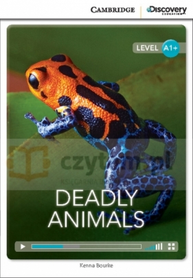 CDEIR A1+ Deadly Animals - Kenna Bourke