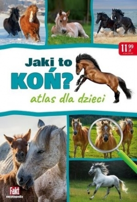 Jaki to koń? Atlas dla dzieci - Opracowanie zbiorowe