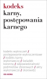 Kodeks karny postępowania karnego