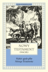 Nowy Testament inaczej. Wybór apokryfów Nowego Testamentu